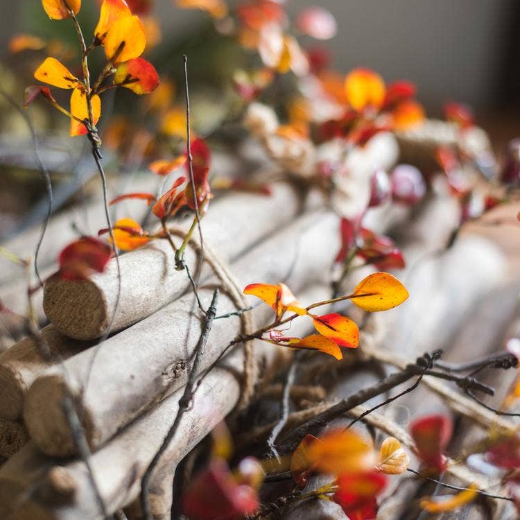 Artificial Red Leaf Stem