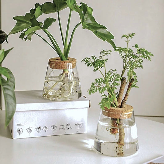 Nordic Style Hydroponic Plant Vase